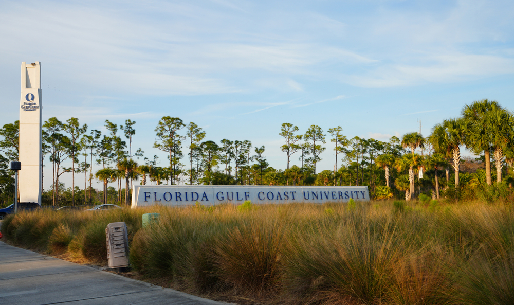 Counseling Programs offered at Florida Gulf Coast University Counseling Programs offered at Florida Gulf Coast University